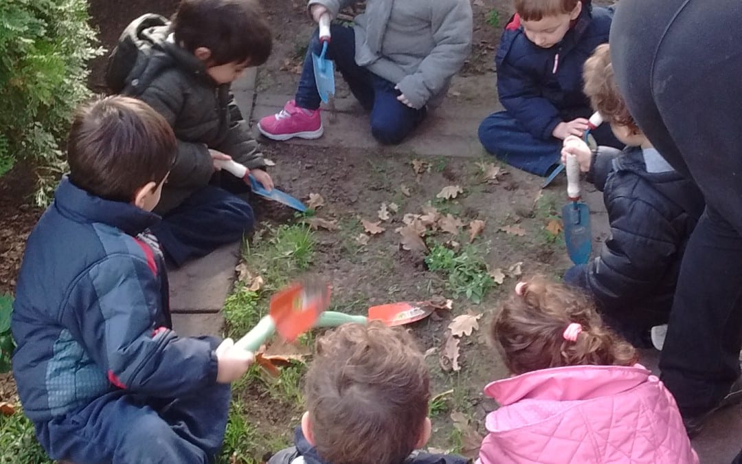 Novedades de Educación Ambiental